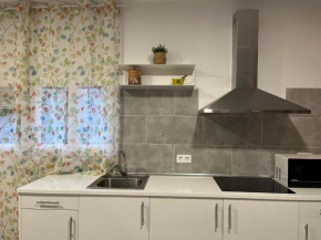 Apartamentos Manu